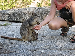 CairnsTC126 Granite Gorge